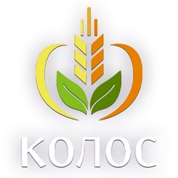 Колос